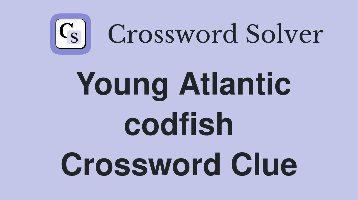 Young Atlantic codfish Crossword Clue