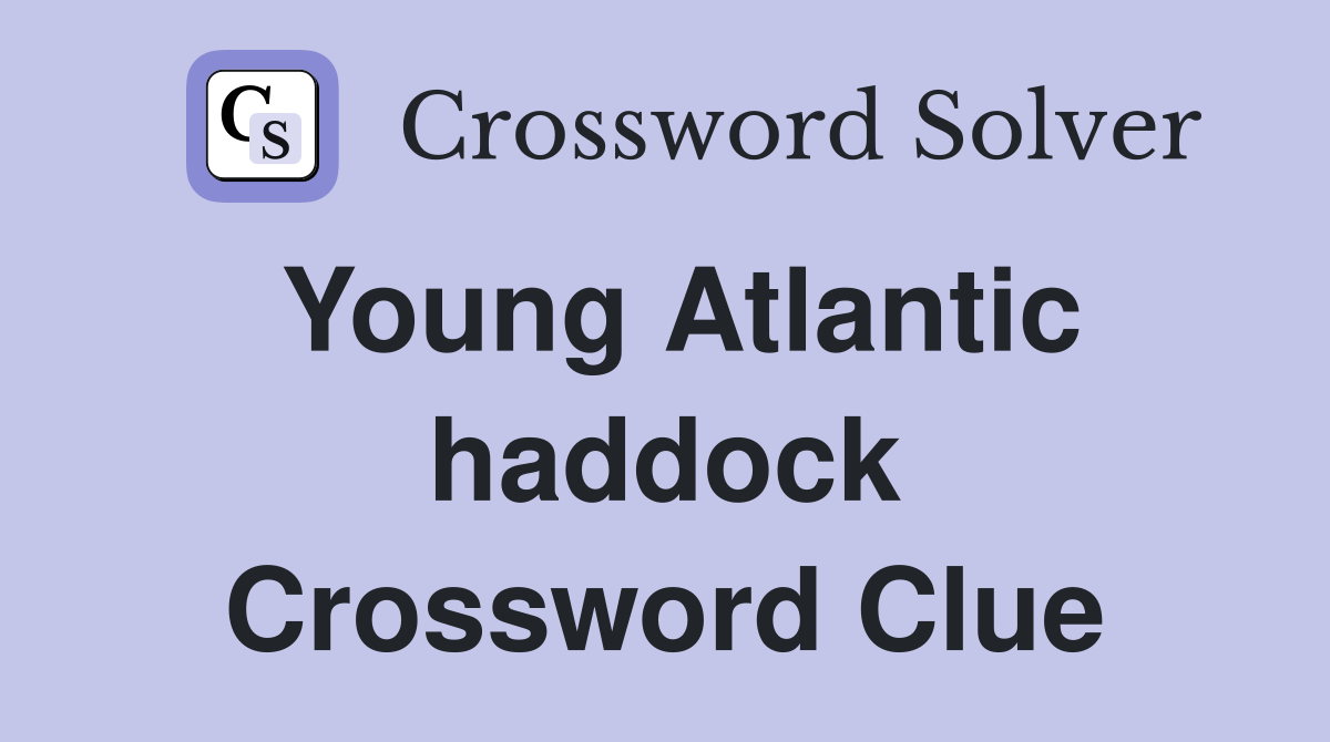 Young Atlantic haddock Crossword Clue