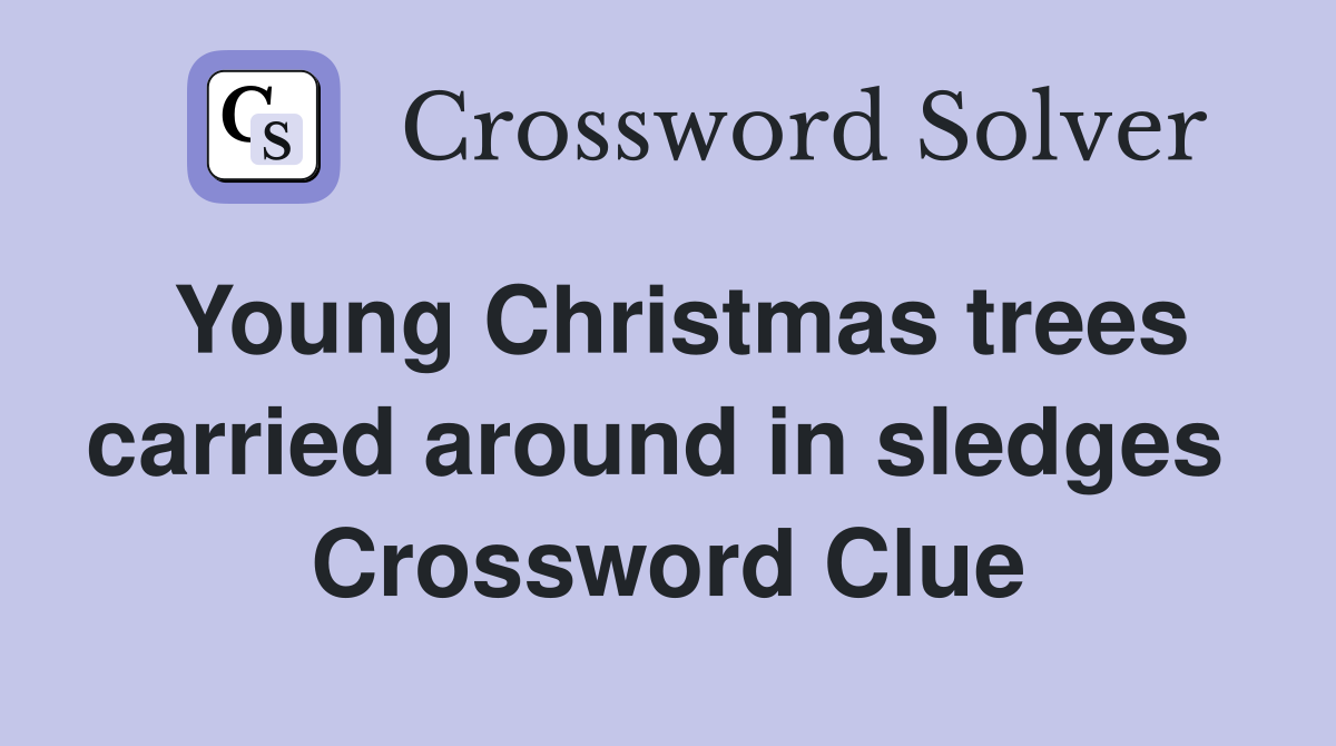 Young Christmas trees carried around in sledges  Crossword Clue