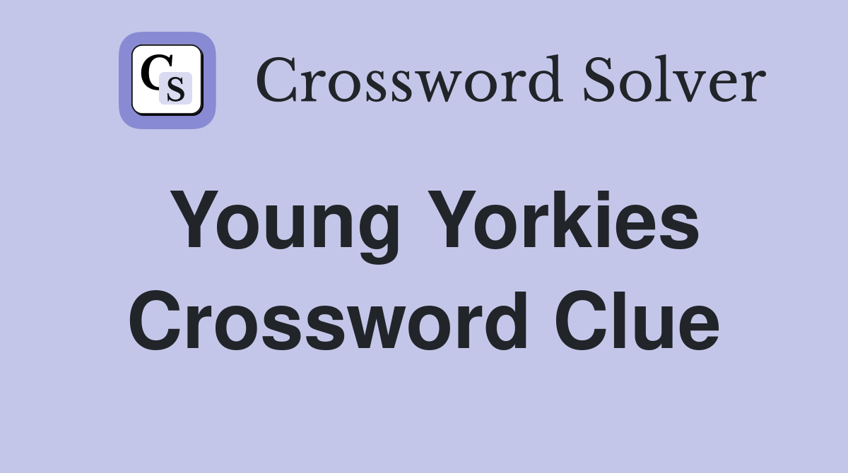 Young Yorkies Crossword Clue