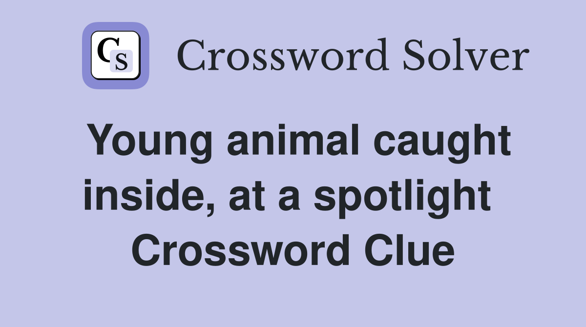 Young animal caught inside, at a spotlight  Crossword Clue