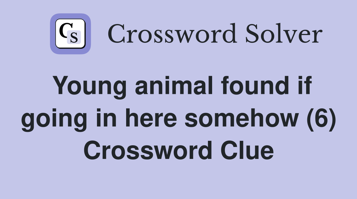 Young animal found if going in here somehow (6) Crossword Clue