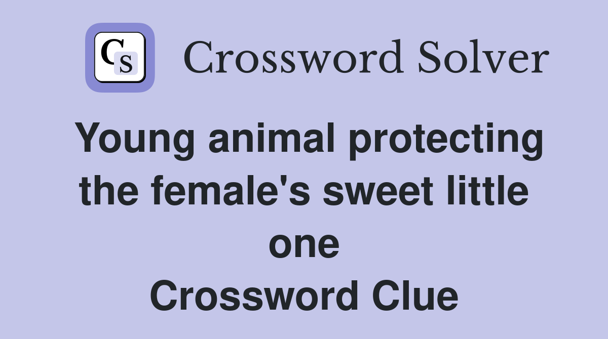 Young animal protecting the female's sweet little one Crossword Clue