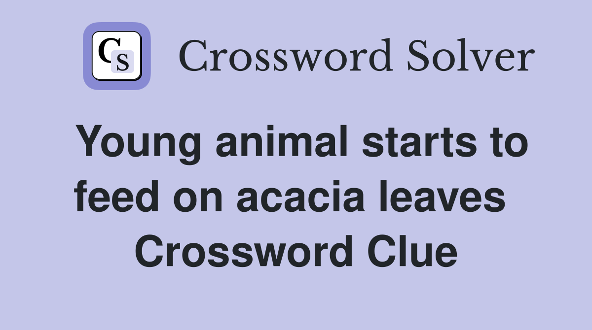 Young animal starts to feed on acacia leaves  Crossword Clue
