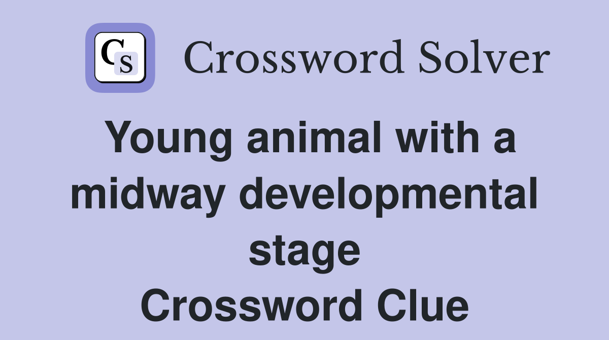 Young animal with a midway developmental stage Crossword Clue