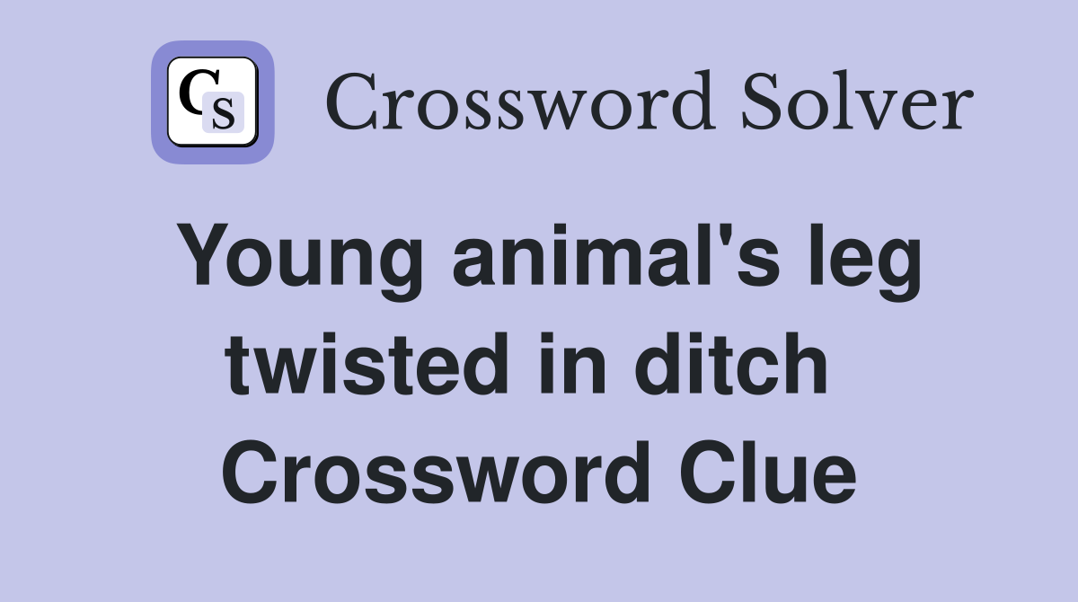 Young animal's leg twisted in ditch  Crossword Clue