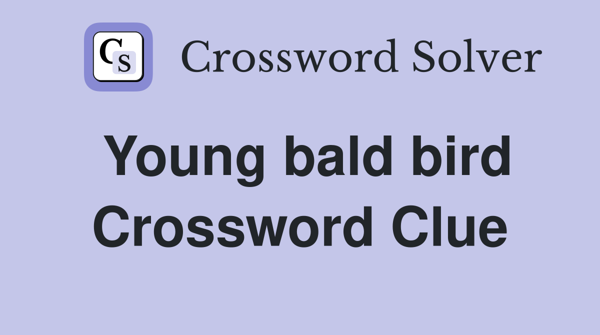 Young bald bird Crossword Clue