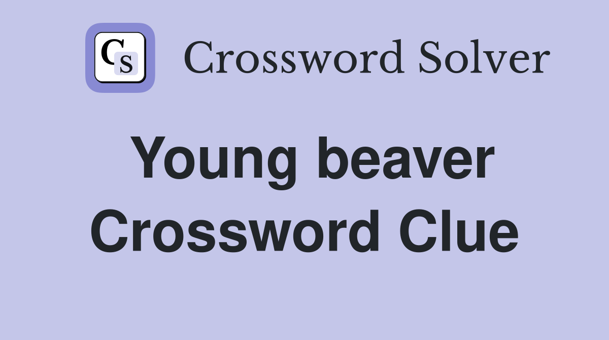 Young beaver Crossword Clue