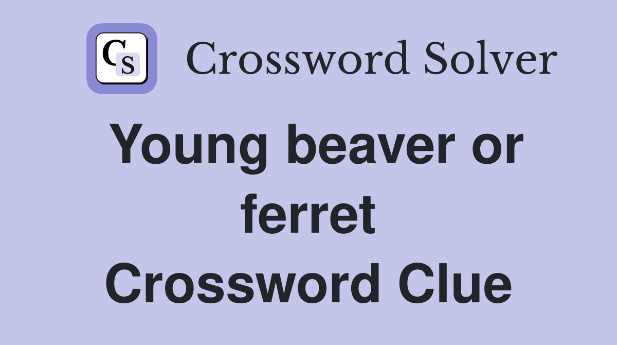 Young beaver or ferret Crossword Clue