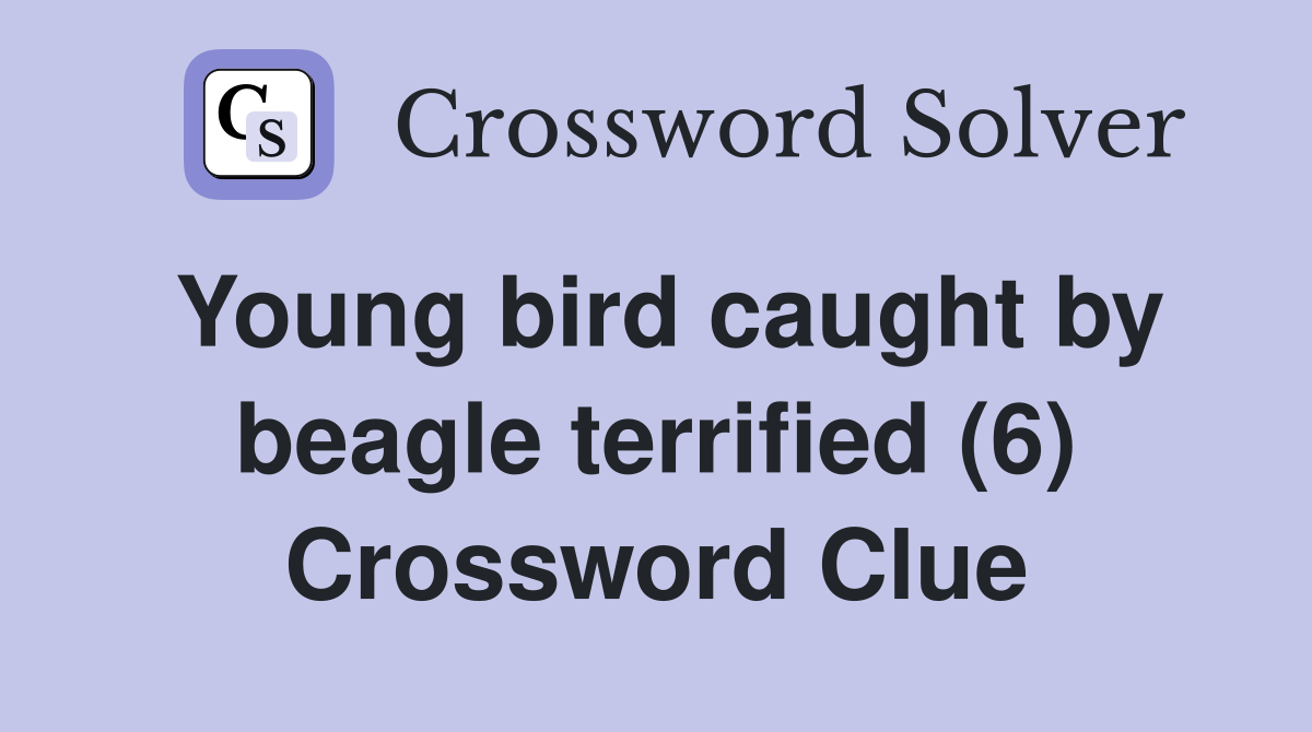 Young bird caught by beagle terrified (6) Crossword Clue