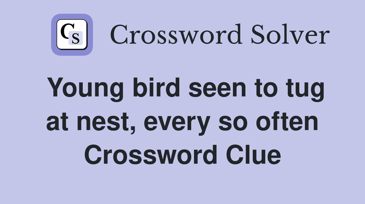 Young bird seen to tug at nest, every so often Crossword Clue