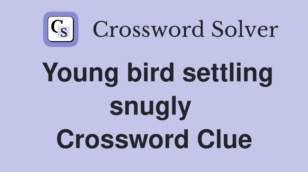 Young bird settling snugly  Crossword Clue