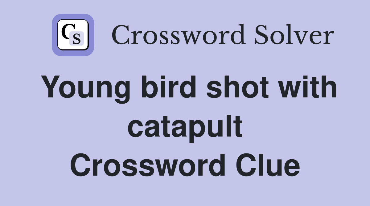 Young bird shot with catapult Crossword Clue