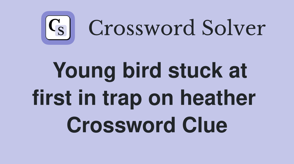 Young bird stuck at first in trap on heather  Crossword Clue