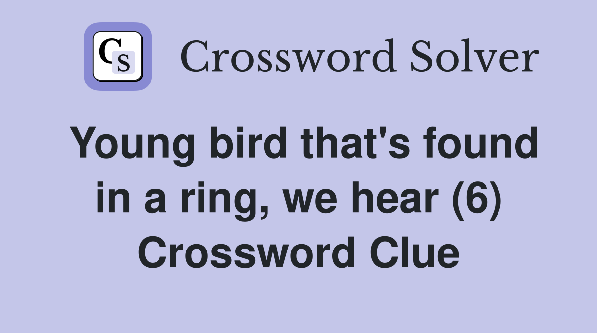 Young bird that's found in a ring, we hear (6) Crossword Clue