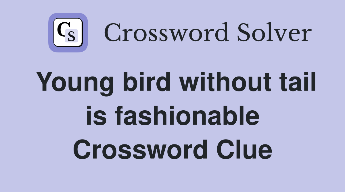 Young bird without tail is fashionable Crossword Clue