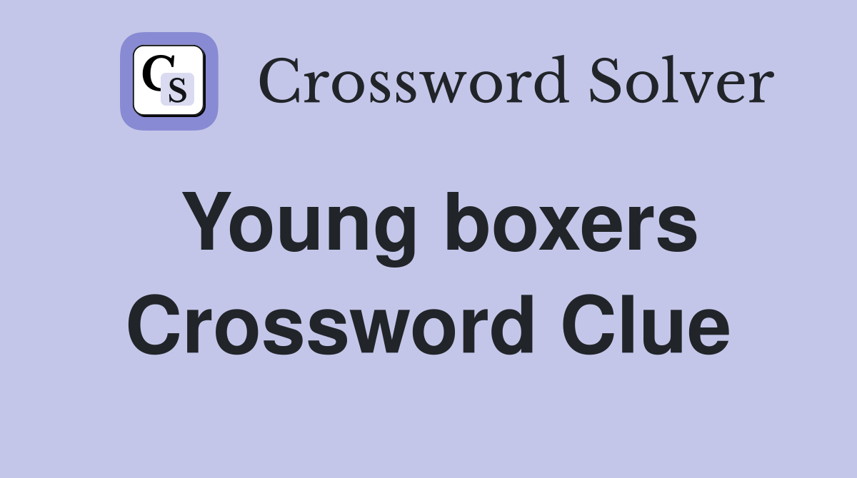 Young boxers Crossword Clue