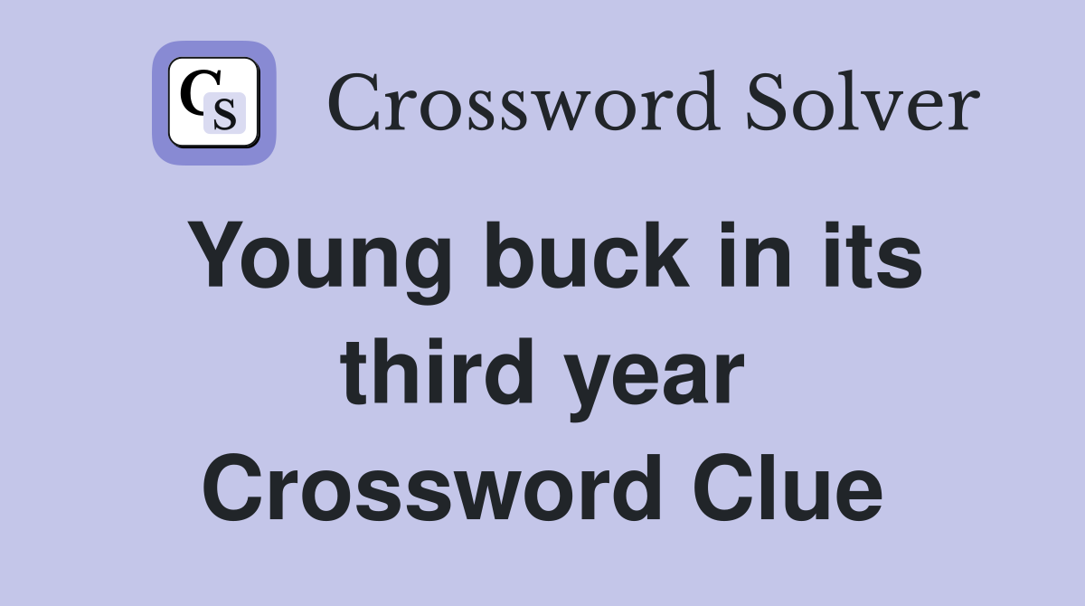 Young buck in its third year Crossword Clue