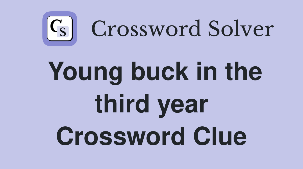 Young buck in the third year Crossword Clue