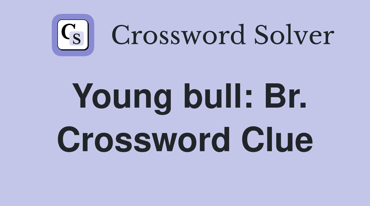 Young bull: Br. Crossword Clue