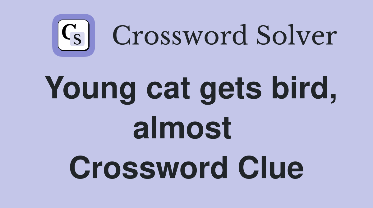 Young cat gets bird, almost  Crossword Clue