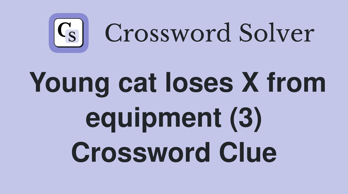 Young cat loses X from equipment (3) Crossword Clue