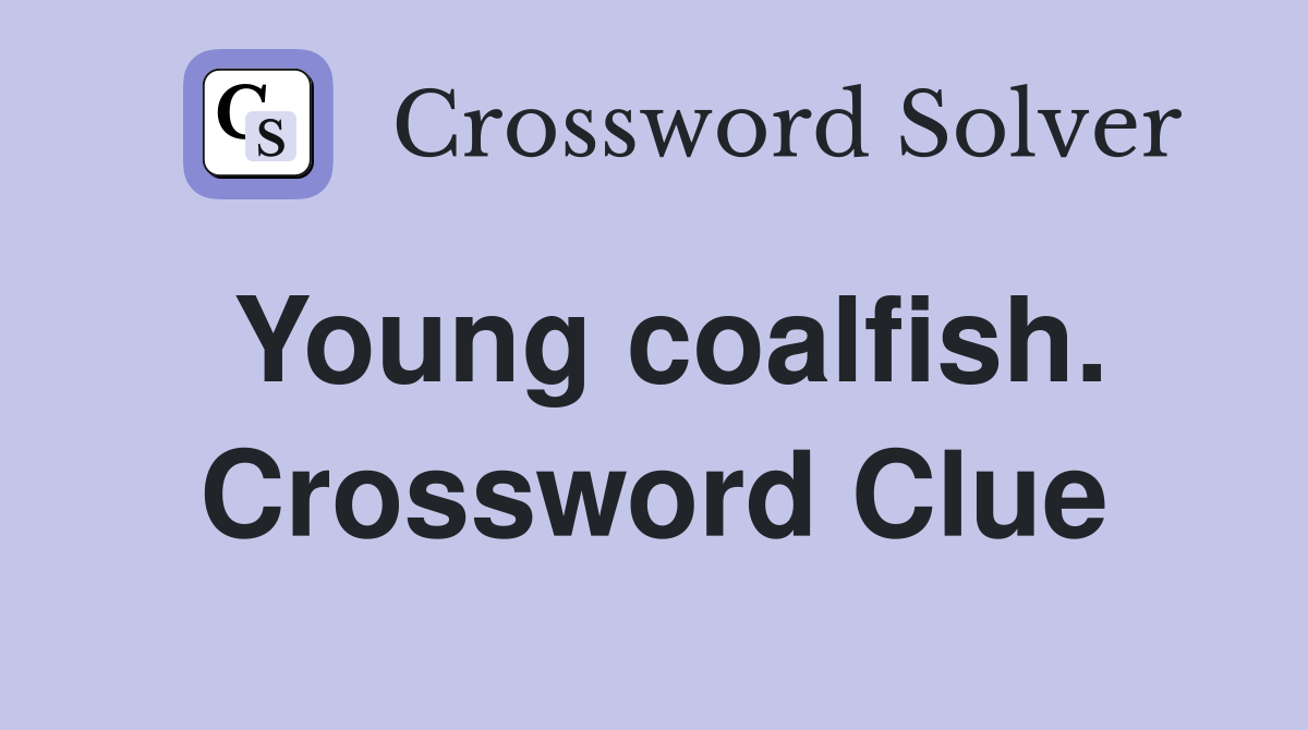 Young coalfish. Crossword Clue