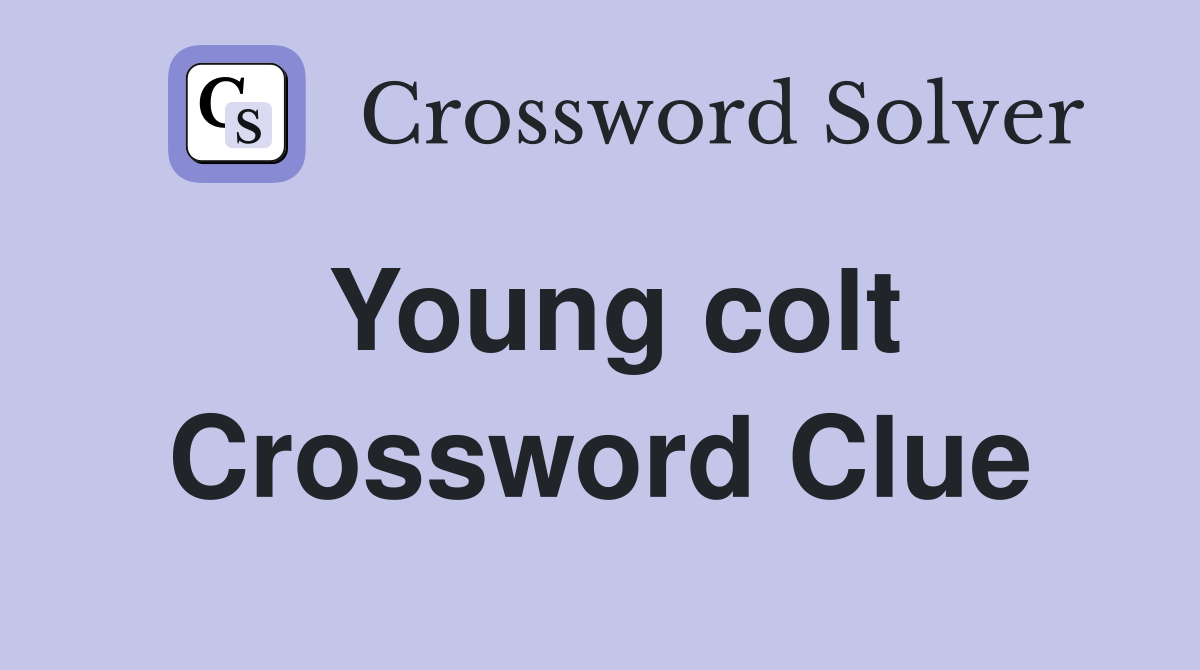 Young colt Crossword Clue