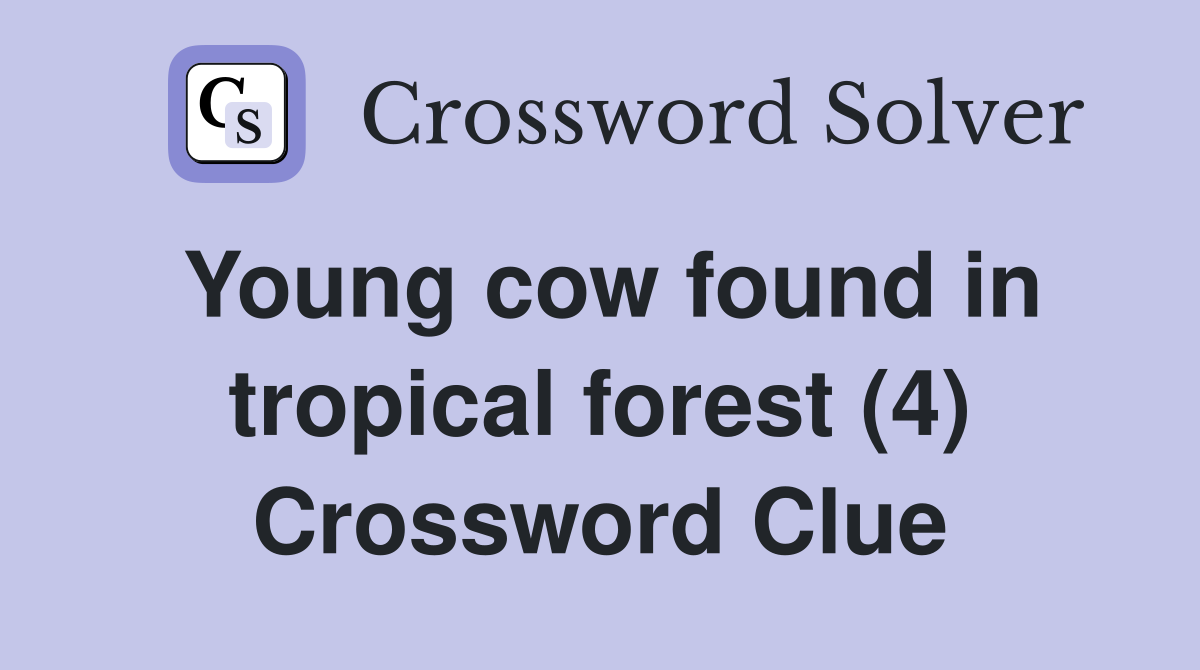 Young cow found in tropical forest (4) Crossword Clue