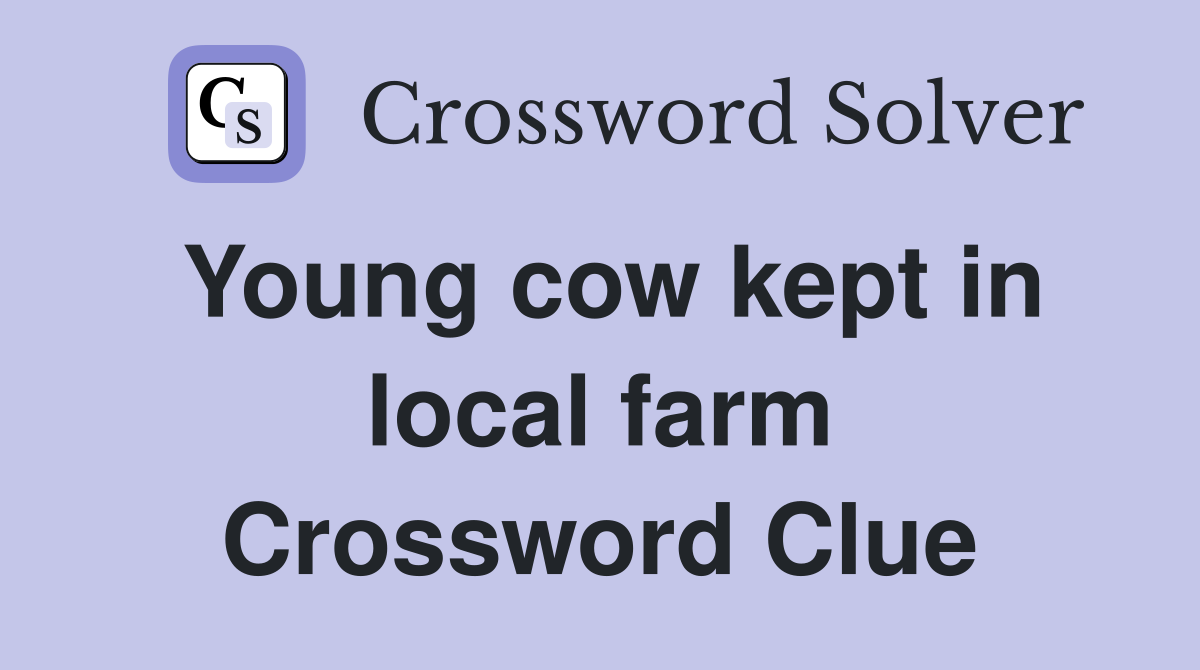 Young cow kept in local farm Crossword Clue
