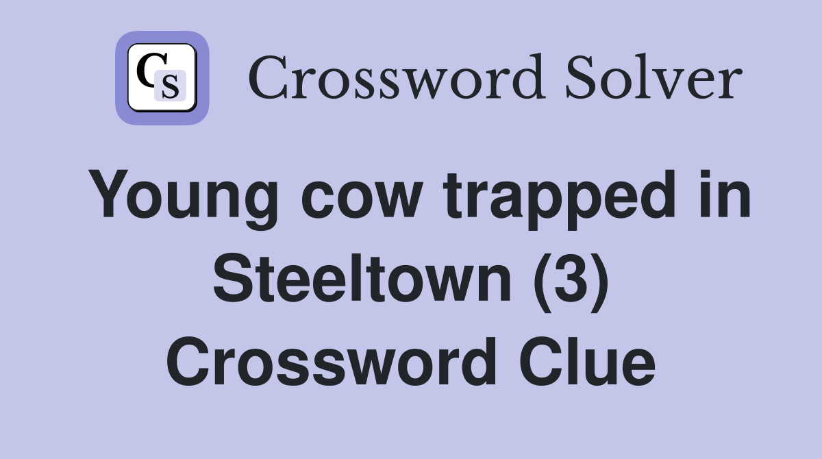 Young cow trapped in Steeltown (3) Crossword Clue