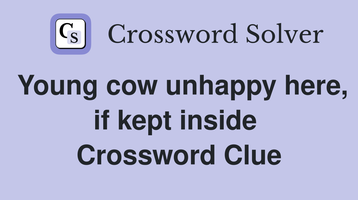 Young cow unhappy here, if kept inside  Crossword Clue