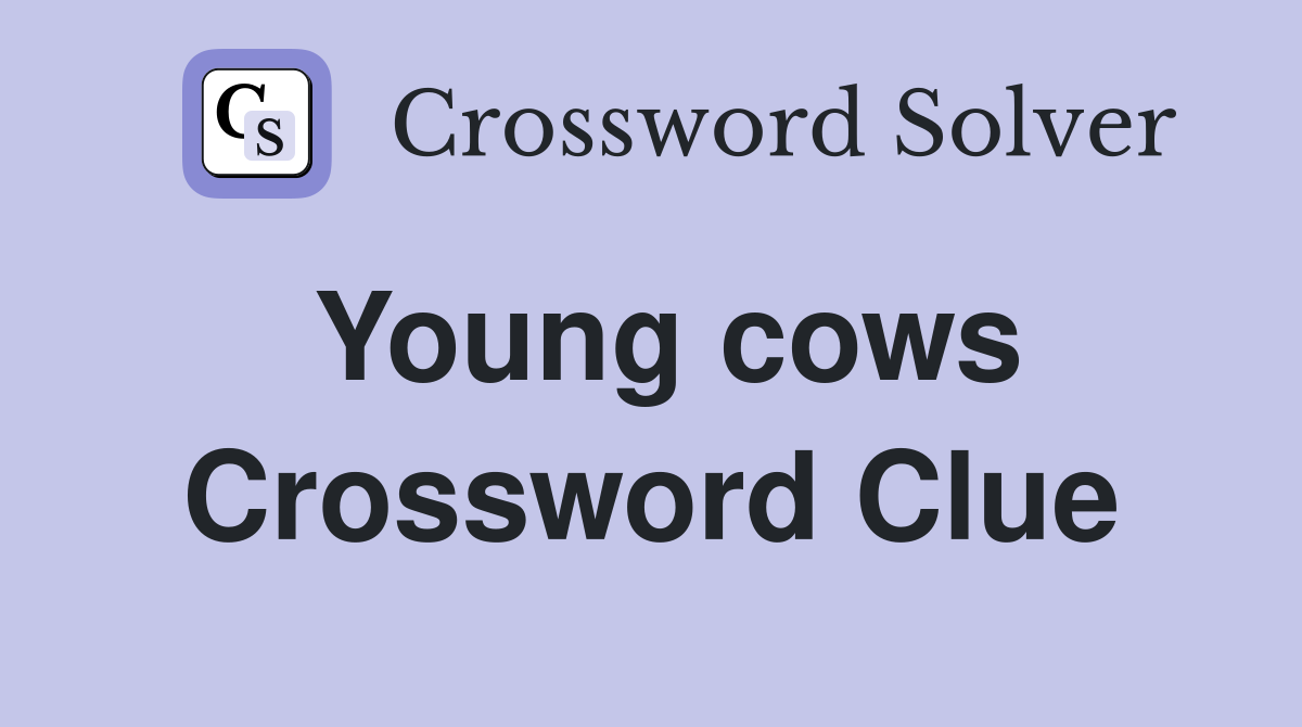 Young cows Crossword Clue