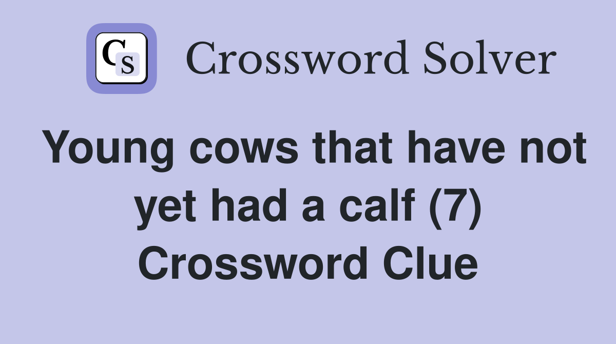 Young cows that have not yet had a calf (7) Crossword Clue