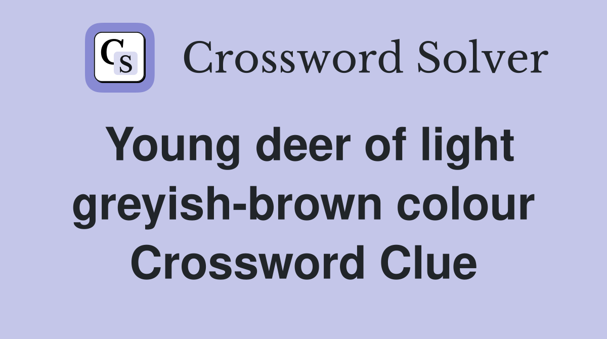 Young deer of light greyish-brown colour Crossword Clue