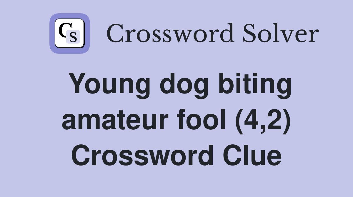 Young dog biting amateur fool (4,2) Crossword Clue