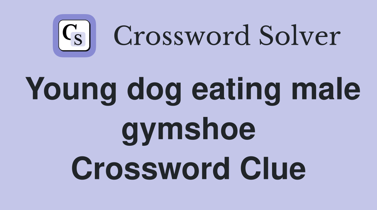 Young dog eating male gymshoe Crossword Clue