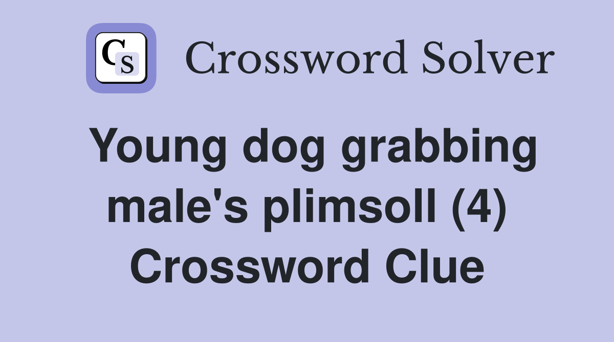 Young dog grabbing male's plimsoll (4) Crossword Clue