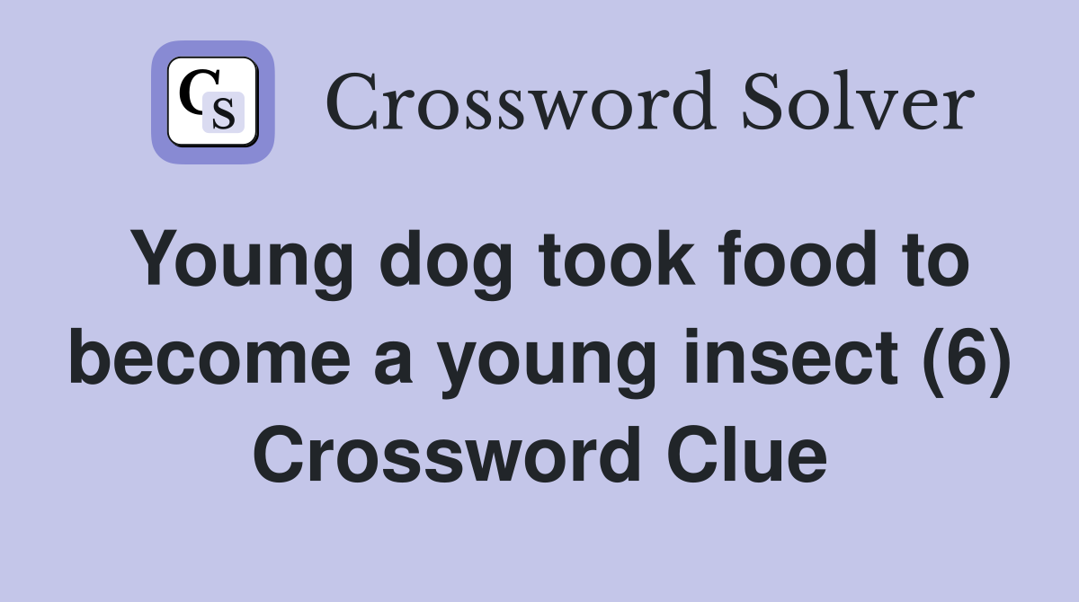 Young dog took food to become a young insect (6) Crossword Clue