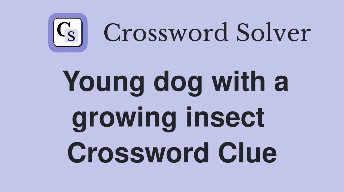Young dog with a growing insect  Crossword Clue