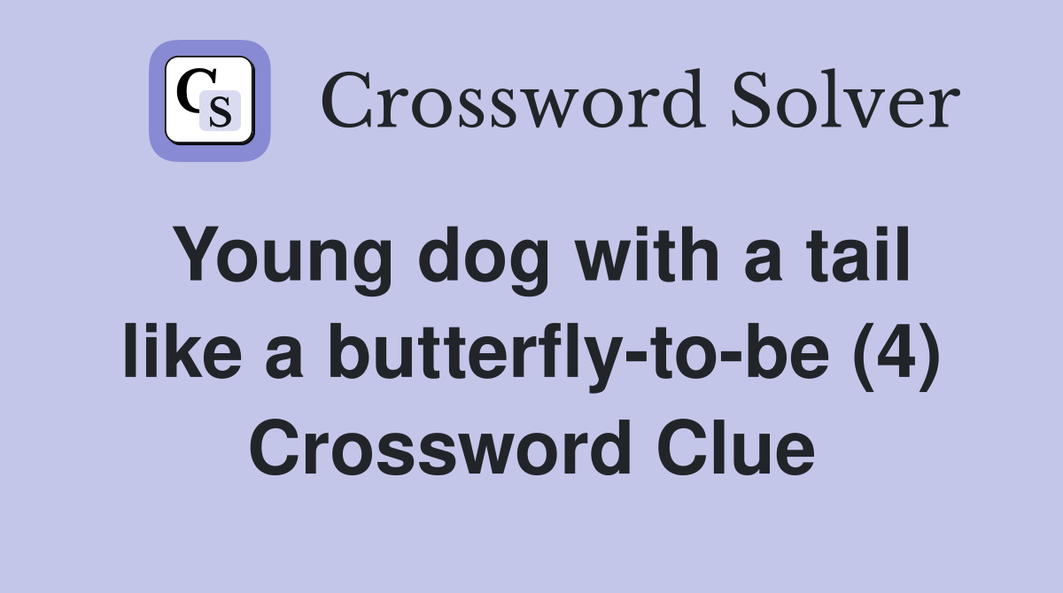 Young dog with a tail like a butterfly-to-be (4) Crossword Clue