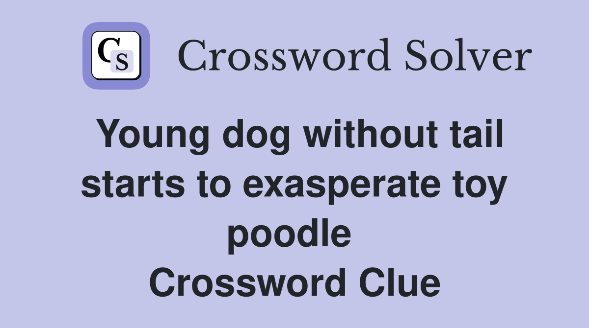 Young dog without tail starts to exasperate toy poodle  Crossword Clue