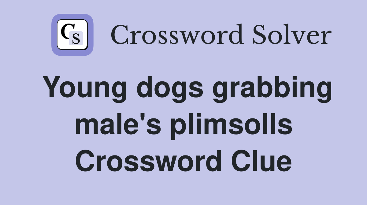 Young dogs grabbing male's plimsolls Crossword Clue