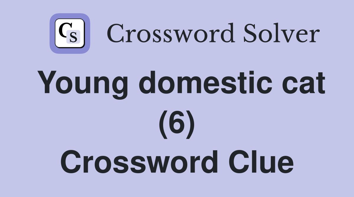Young domestic cat (6) Crossword Clue