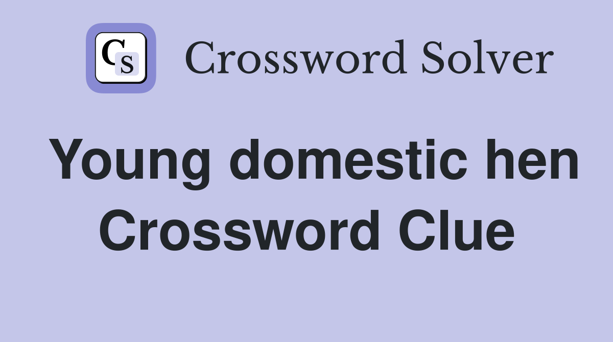 Young domestic hen Crossword Clue