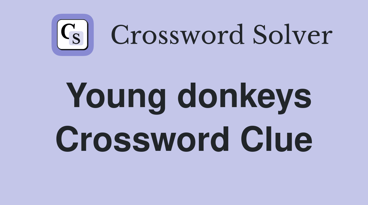 Young donkeys Crossword Clue