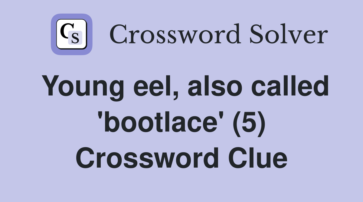 Young eel, also called 'bootlace' (5) Crossword Clue