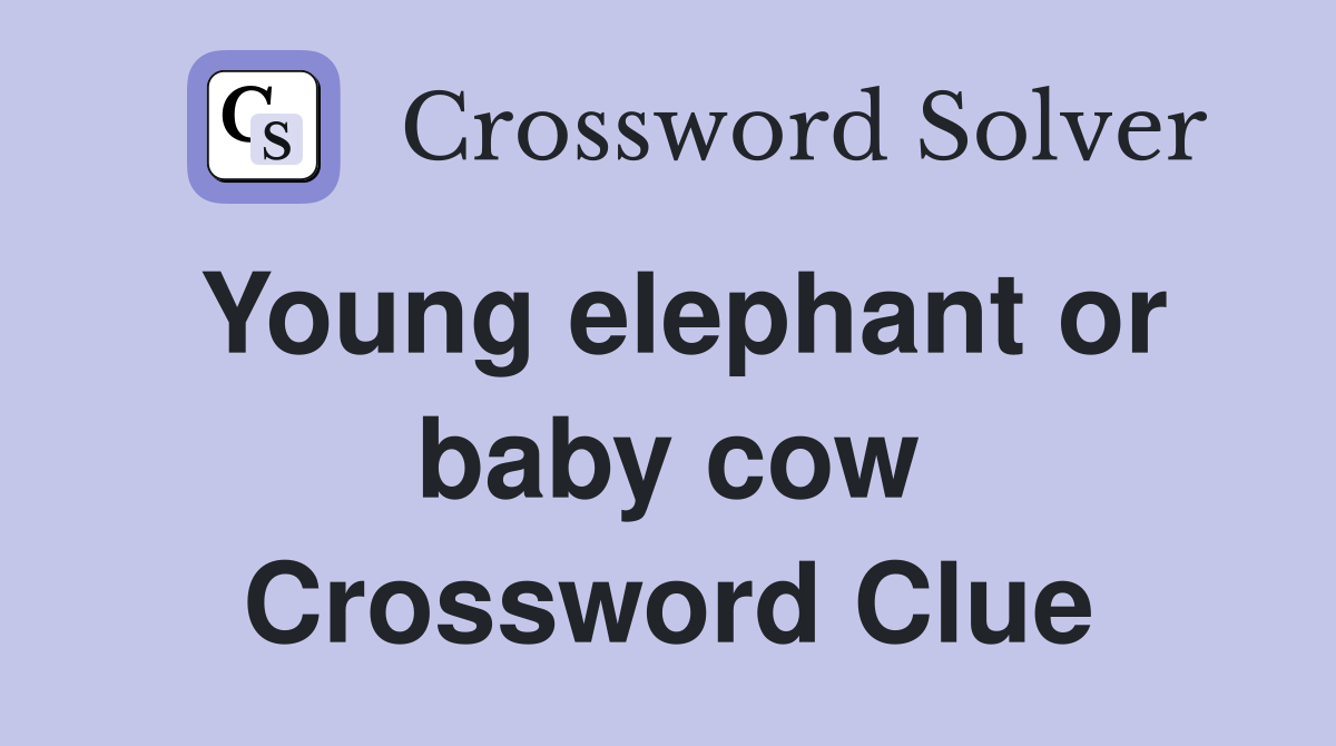 Young elephant or baby cow Crossword Clue