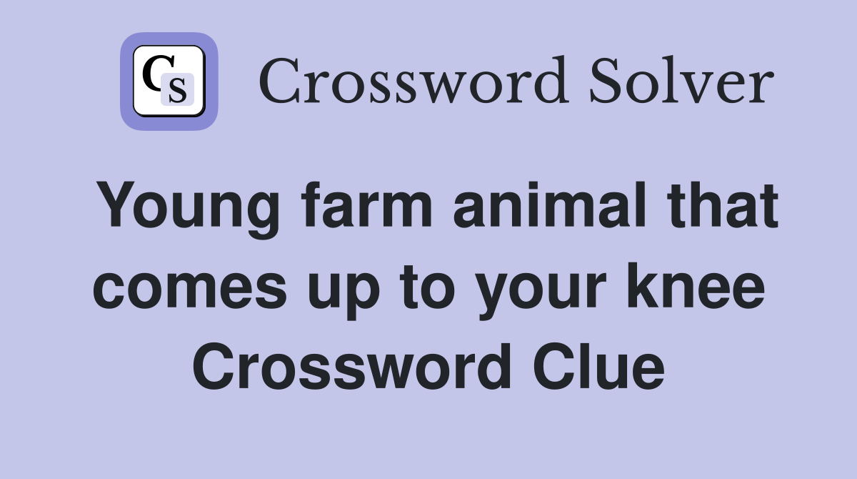 Young farm animal that comes up to your knee Crossword Clue