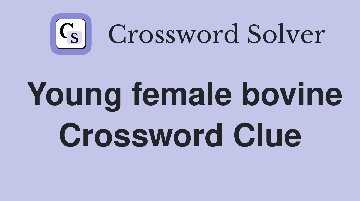 Young female bovine Crossword Clue